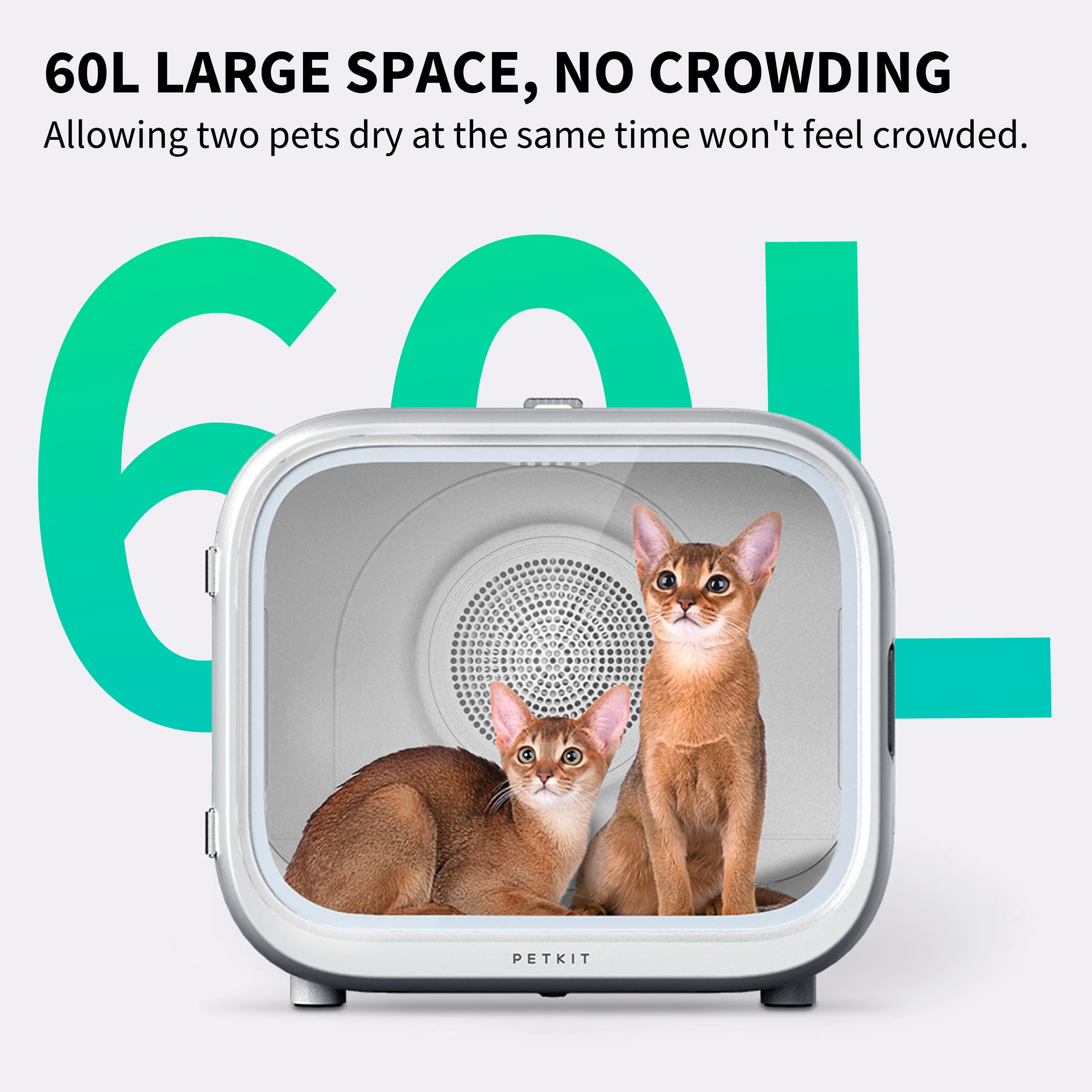 AIRSALON MAX - Image 3