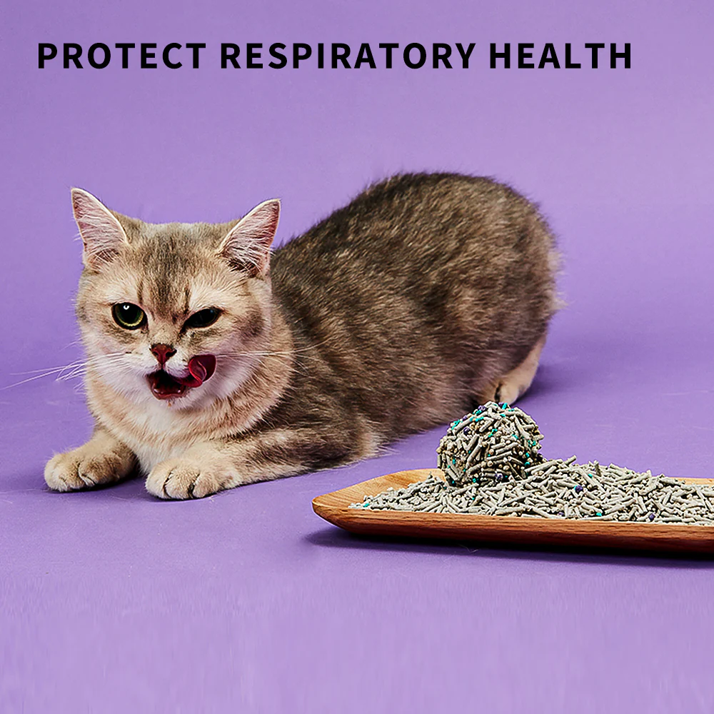 Everclean Cat Litter - Image 5