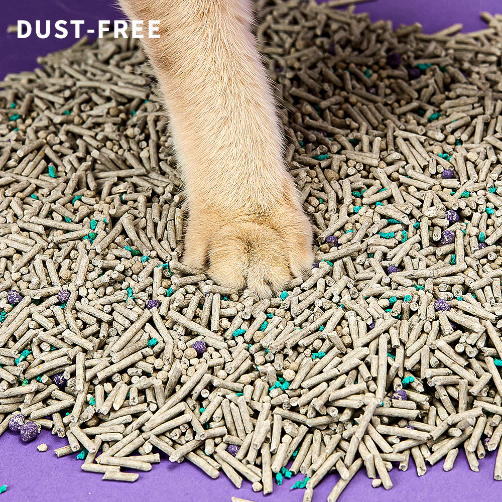 Everclean Cat Litter - Image 6