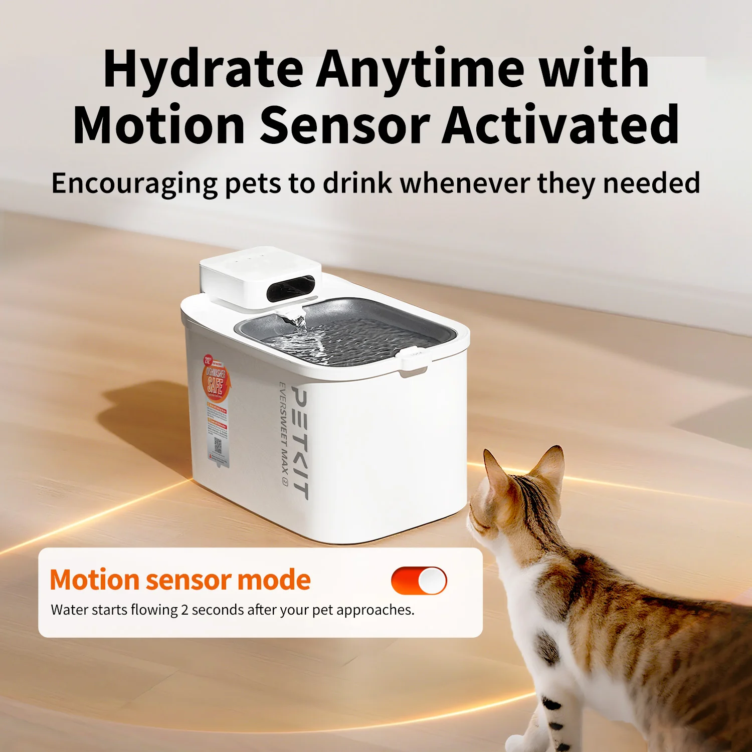 EverSweet Max 2 (CORDLESS) - Image 6