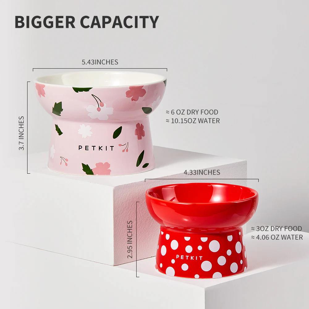 Large Ceramic Bowl - Image 11