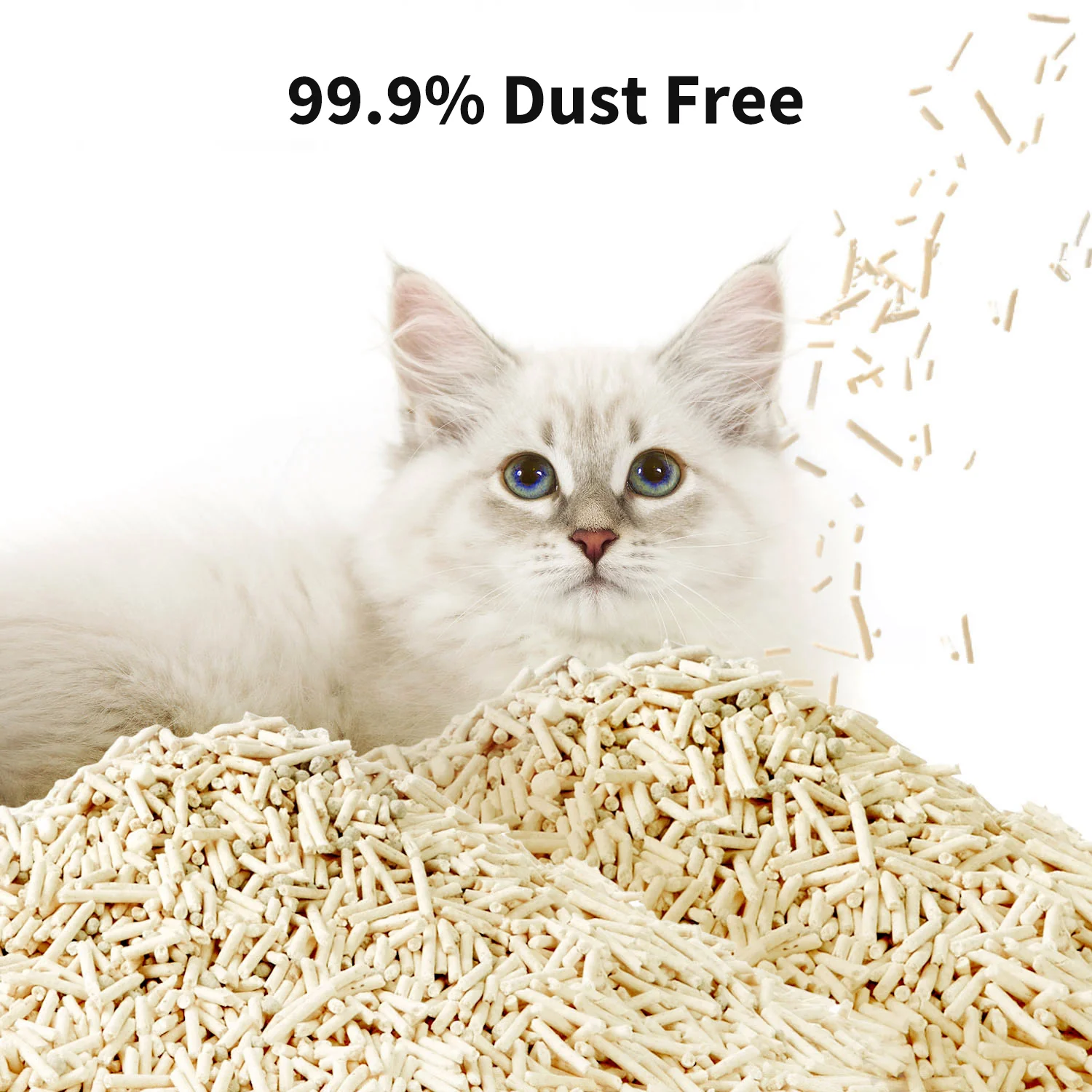 Occult Blood Test Mixed Cat Litter - Image 3